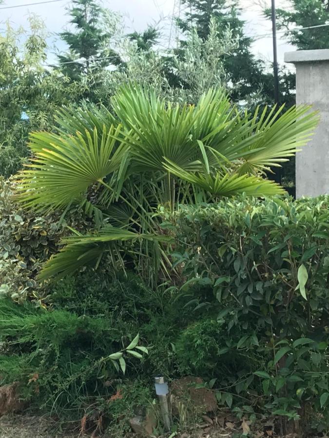 アスプロヴァルタ Casa Dei Fioriヴィラ エクステリア 写真
